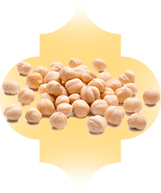 nuts-hazelnuts-img
