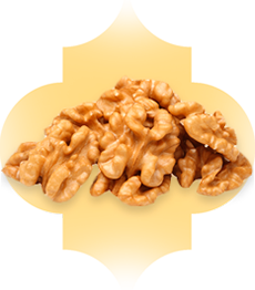nuts-walnuts-img