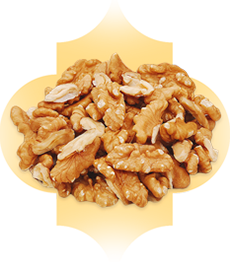 nuts-walnuts-img